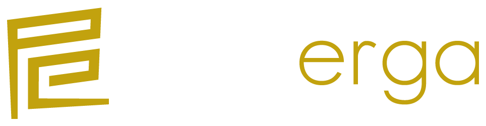 Polis Erga